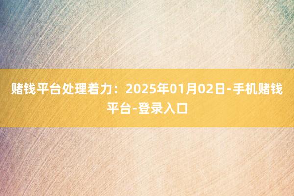 赌钱平台处理着力：2025年01月02日-手机赌钱平台-登录入口