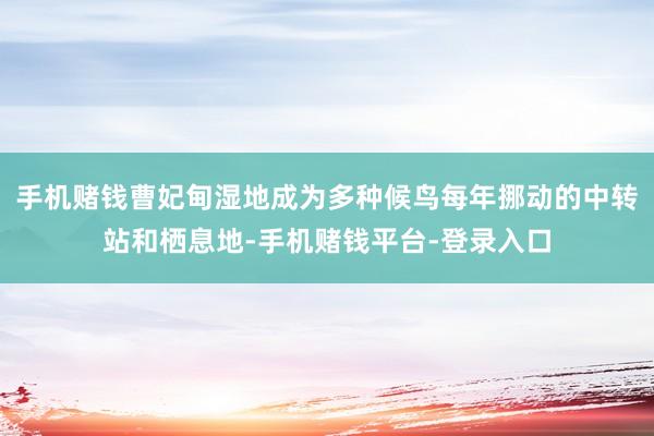 手机赌钱曹妃甸湿地成为多种候鸟每年挪动的中转站和栖息地-手机赌钱平台-登录入口