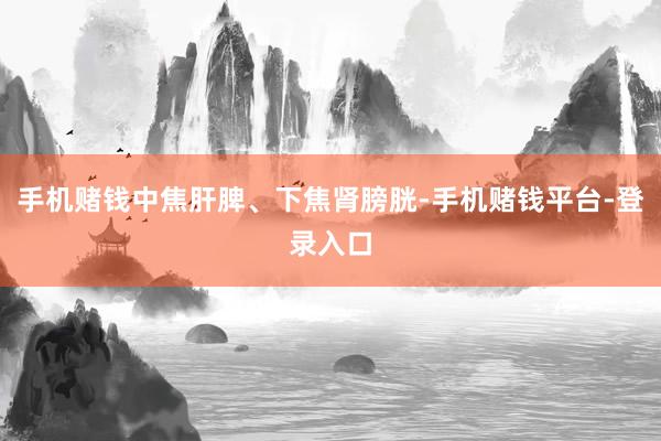 手机赌钱中焦肝脾、下焦肾膀胱-手机赌钱平台-登录入口
