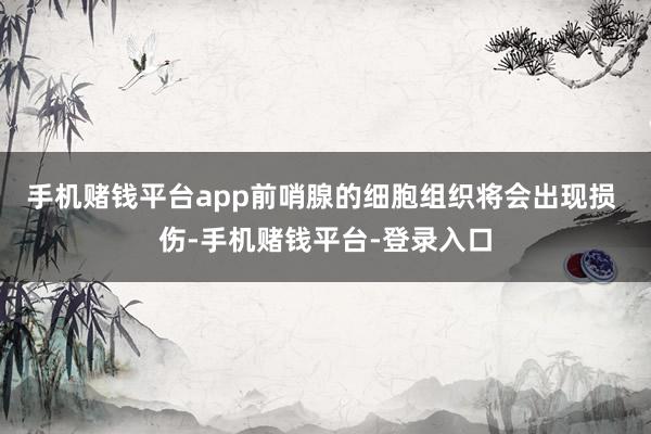 手机赌钱平台app前哨腺的细胞组织将会出现损 伤-手机赌钱平台-登录入口